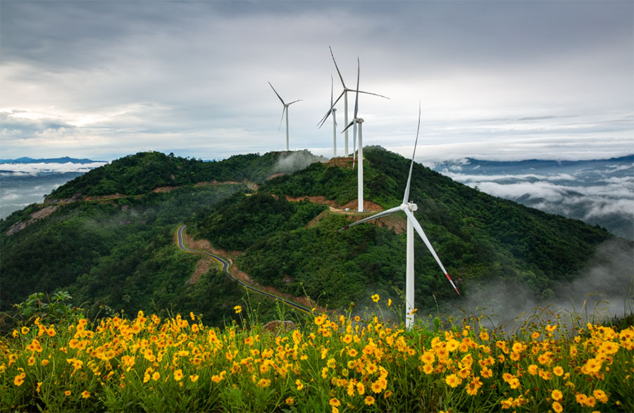 “風(fēng)光”無(wú)限 湖北大悟“電力森林”釋放綠色能量