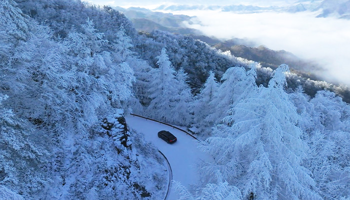 雪山日出云海同框 神農架美成水墨仙境