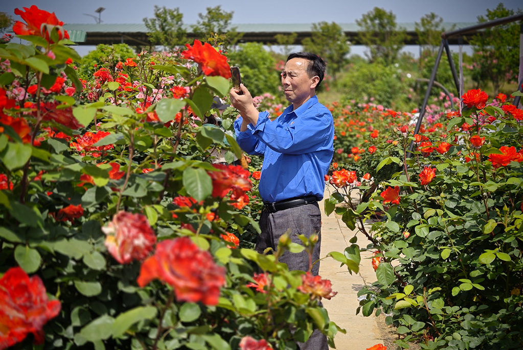 湖北隨州：鄉村賞花游人氣旺