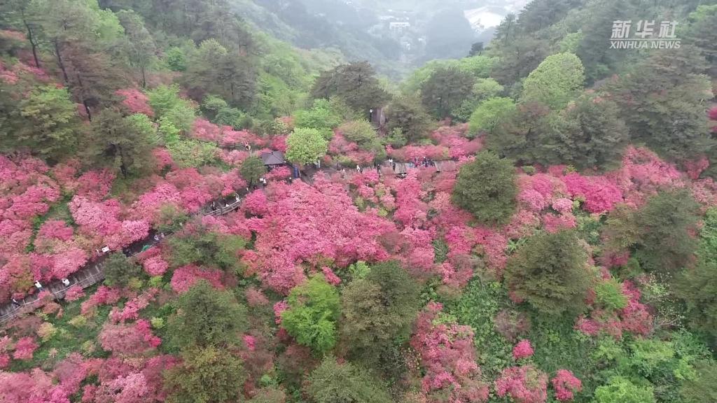 湖北：全時(shí)旅游“白加黑” 豐富游客體驗